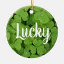 Search for clover ornaments Green