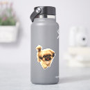 Search for shih tzu cartoon stickers Pet lovers