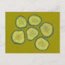 Search for pickled postcards Pickles