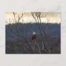Recherche de valley cartes postales Nuages