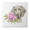 Search for weimaraner tiles Dog