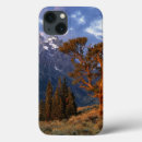 Search for np ipad cases Environment