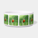 Search for ladybug pet supplies Green