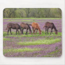 Search for connect mousepads Success