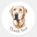 Recherche de labrador retriever autocollants Chiot