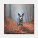 Search for heeler magnets Pet