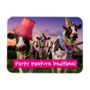 Recherche de cow magnets Farm