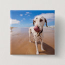 Search for sea dog buttons Waves