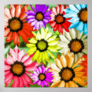Search for gerbera daisy colours art Colourful flowers