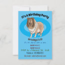 Search for rough collie Pets