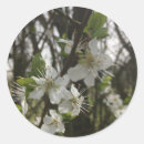 Search for purity Photography