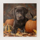 Search for labrador puzzles Autumn