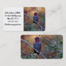 Recherche de petit oiseau cartes visite Faune