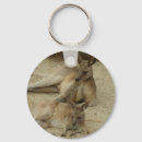Search for catching round keychains Nature