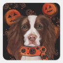 Search for springer spaniel stickers Halloween