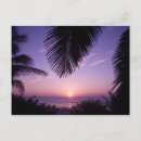 Search for cayman postcards Palm