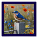Recherche de petits oiseaux posters Toute personne