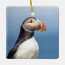 Recherche de macareux ornements Faune