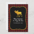 Search for moose photo cards Rustic
