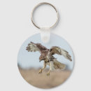 Search for hover keychains Bird