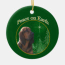 Search for bloodhound ornaments Dog