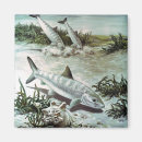 Recherche de animaux sous marins magnets Pour tous