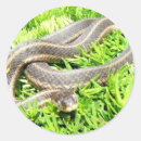 Recherche de observation autocollants Photographie