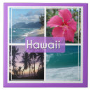 Search for seascape tiles Palm trees