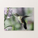 Search for hummingbird puzzles Ruby throated hummingbird