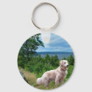 Search for golden retriever keychains Puppies