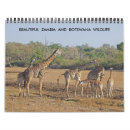Search for hippo calendars Lion