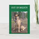 Search for dog panting cards German shepherd