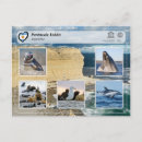 Search for vald Patagonia