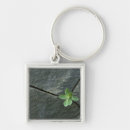 Search for for the crack keychains Nobody