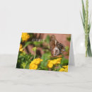 Recherche de chien papillon vœux cartes Chiots