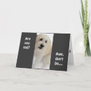 Search for over the hill 30th birthday cards Age joke