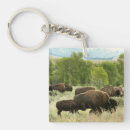 Search for buffalo square keychains Yellowstone