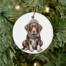Search for pointer dog ornaments Animal