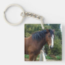 Search for clydesdale keychains Horse