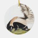 Search for skunk ornaments Mammal