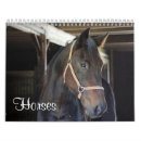 Recherche de portrait de cheval bureau fournitures Portraits
