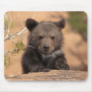 Recherche de ours gris tapis souris Dehors
