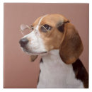 Search for beagles tiles Animal