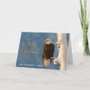 Search for bald eagle christmas cards Animal