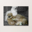Recherche de poussins puzzles Animal
