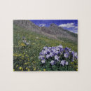 Recherche de prés puzzles Vert
