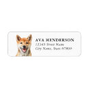 Search for shiba return address labels Cute