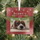 Search for puppys 1st ornaments Snowflakes