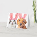 Search for funny dog easter cards Cute