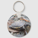 Search for baby turtle keychains Reptile